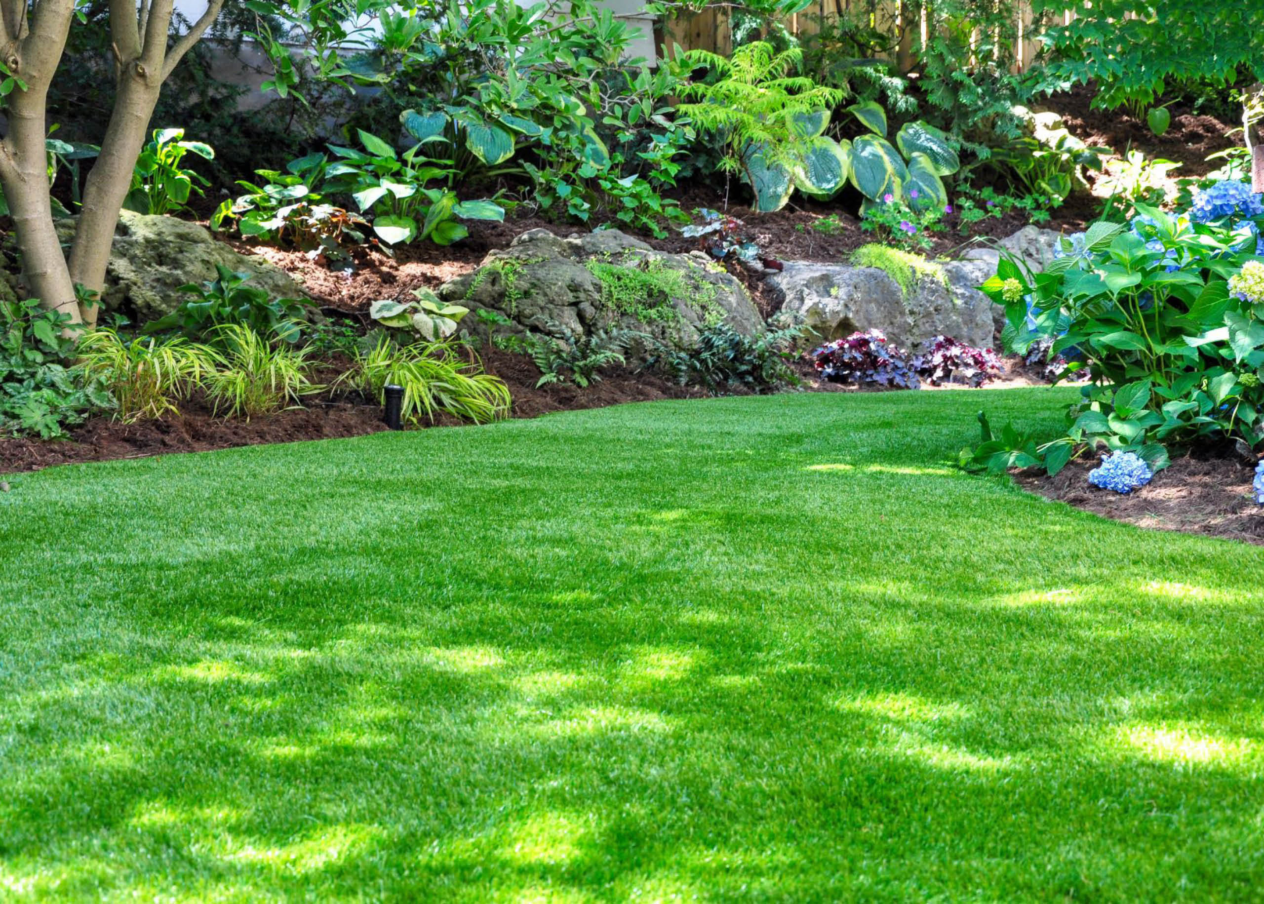 Lawn Healthy